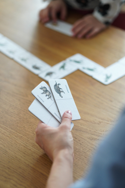 Domino dwustronne Dinozaury Domino dwustronne Dinozaury