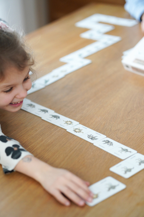 Domino dwustronne Dinozaury Domino dwustronne Dinozaury