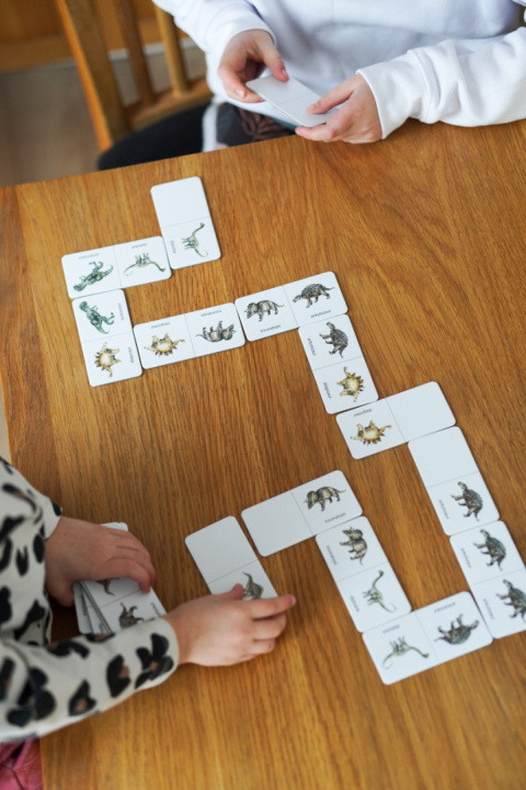 Domino dwustronne Dinozaury Domino dwustronne Dinozaury