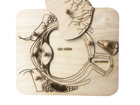 Drewniane puzzle - budowa OKA Drewniane puzzle - budowa OKA