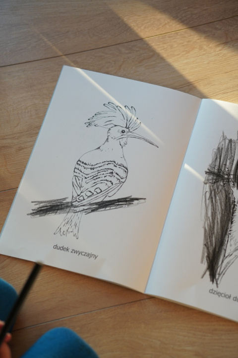 Kolorowanka Ptaki, realistyczne ręcznie wykonane ilustracje Kolorowanka Ptaki, realistyczne ręcznie wykonane ilustracje