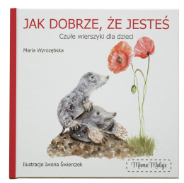 Książka 