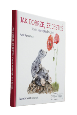 Książka 