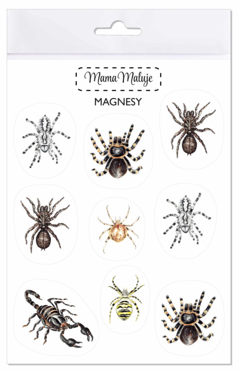 Magnesy Pajęczaki, realistyczne malowane ilustracje Magnesy Pajęczaki, realistyczne malowane ilustracje