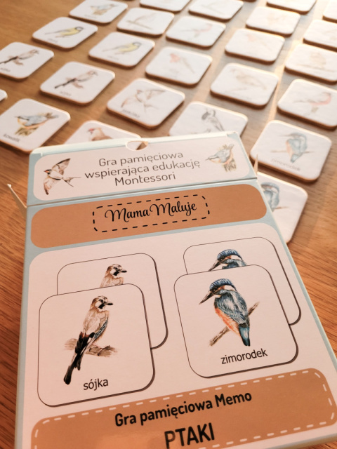 Memo Ptaki, realistyczne malowane ilustracje Memo Ptaki, realistyczne malowane ilustracje