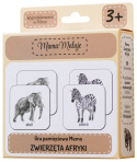 Memo Zwierzęta Afryki, realistyczne malowane ilustracje