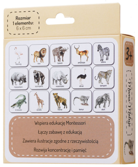 Memo Zwierzęta Afryki, realistyczne malowane ilustracje Memo Zwierzęta Afryki, realistyczne malowane ilustracje