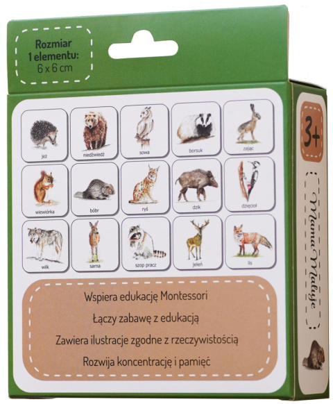 Memo Zwierzęta leśne, realistyczne malowane ilustracje Memo Zwierzęta leśne, realistyczne malowane ilustracje