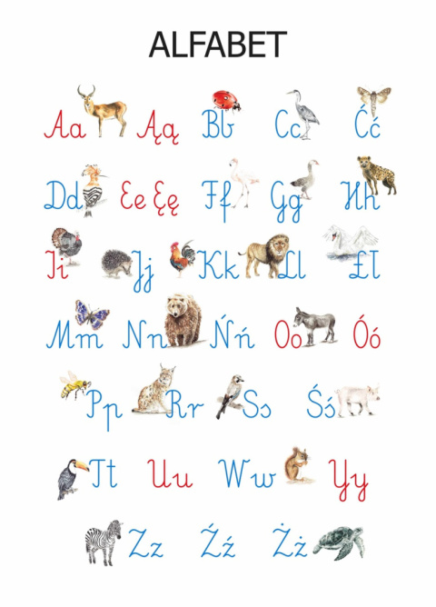 Plakat Alfabet A3, realistyczne malowane ilustracje Plakat Alfabet A3, realistyczne malowane ilustracje