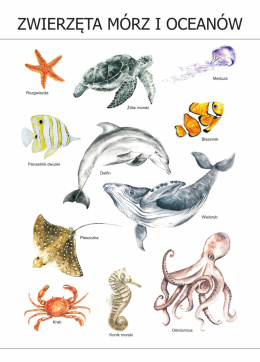 Plakat Zwierzęta mórz i oceanów A3, realistyczne malowane ilustracje
