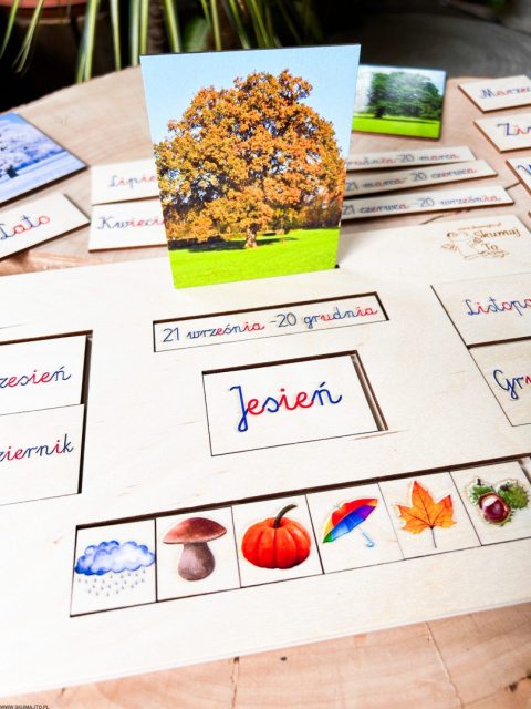 Pory roku - drewniana układanka montessori kolorowe karty nauka Pory roku - drewniana układanka montessori kolorowe karty nauka