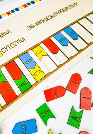 Skumaj DNA, drewniana układanka, pomoc biologiczna, genetyka Skumaj DNA, drewniana układanka, pomoc biologiczna, genetyka