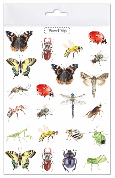 Tatuaże zmywalne Owady, realistyczne malowane ilustracje Tatuaże zmywalne Owady, realistyczne malowane ilustracje