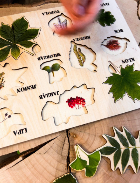 Wiosenne liście, gatunki drzew, układanka Montessori Wiosenne liście, gatunki drzew, układanka Montessori