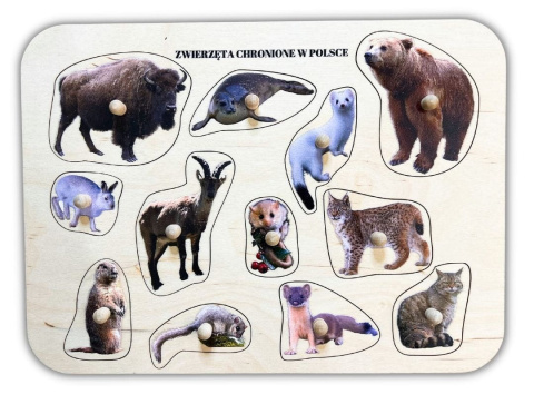Zwierzęta chronione w Polsce, drewniane puzzle z uchwytami i podpisami, pierwsze puzzle Zwierzęta chronione w Polsce, drewniane puzzle z uchwytami i podpisami, pierwsze puzzle